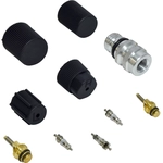 Order UAC - VC2908C - Valve and Cap Kit For Your Vehicle