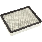 Order ACDELCO - A3181CF - Durapack Air Filter For Your Vehicle