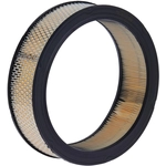 Order ACDELCO - A348C - Round Air Filter For Your Vehicle