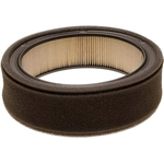 Order ACDELCO - A477CF - Air Filter For Your Vehicle
