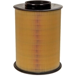 Order ACDELCO - A3626C - Cylinder Air Filter For Your Vehicle