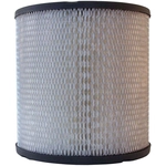 Order ACDELCO - A925C - Air Filter For Your Vehicle