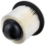 Order ACDELCO PROFESSIONAL - A1517C - Cone Air Filter For Your Vehicle