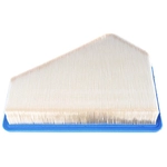 Order ACDELCO PROFESSIONAL - A3096C - Pentagon Air Filter For Your Vehicle