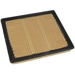 Order ACDELCO PROFESSIONAL - A3174C - Rectangular Air Filter For Your Vehicle