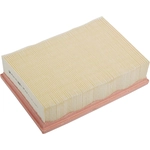 Order ACDELCO PROFESSIONAL - A3184C - Air Filter For Your Vehicle