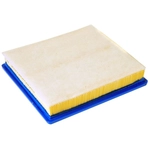 Order ACDELCO PROFESSIONAL - A3216C - Rectangular Air Filter For Your Vehicle