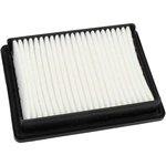 Order ACDELCO PROFESSIONAL - A3227C - Air Filter For Your Vehicle