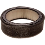 Order ACDELCO PROFESSIONAL - A333C - Air Filter For Your Vehicle