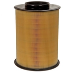 Order ACDELCO PROFESSIONAL - A3626C - Cylinder Air Filter For Your Vehicle