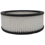 Order Air Filter by ACDELCO PROFESSIONAL - A178CW For Your Vehicle