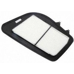 Order Air Filter by ACDELCO PROFESSIONAL - A2944C For Your Vehicle