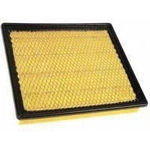 Order Air Filter by ACDELCO PROFESSIONAL - A3176C For Your Vehicle