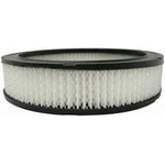 Order Air Filter by ACDELCO PROFESSIONAL - A331C For Your Vehicle