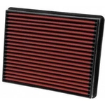 Purchase AEM INDUCTION - 28-20129 - Air Filter