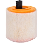 Order Air Filter by BALDWIN - PA10062 For Your Vehicle