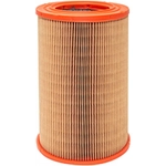 Order BALDWIN - PA10115 - Axial Seal Air Filter Elements For Your Vehicle