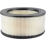 Order BALDWIN - PA1719 - Axial Seal Air Filter Elements For Your Vehicle