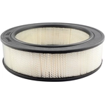 Order BALDWIN - PA1841 - Axial Seal Air Filter Elements For Your Vehicle