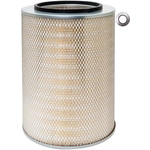 Order BALDWIN - PA1886 - Axial Seal Air Filter Elements For Your Vehicle