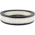 Order BALDWIN - PA2006 - Air Filter For Your Vehicle