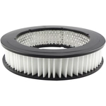 Order BALDWIN - PA2125 - Axial Seal Air Filter Elements For Your Vehicle