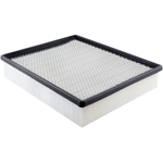 Order BALDWIN - PA4113 - Air Filter For Your Vehicle
