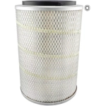 Order BALDWIN - PA4145 - Axial Seal Air Filter Element For Your Vehicle