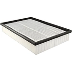 Order Air Filter by BALDWIN - PA10022 For Your Vehicle
