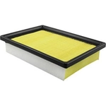 Order Air Filter by BALDWIN - PA10039 For Your Vehicle