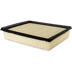 Order Air Filter by BALDWIN - PA10045 For Your Vehicle