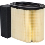Order Air Filter by BALDWIN - PA10061 For Your Vehicle