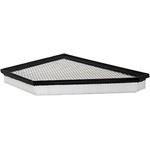 Order Air Filter by BALDWIN - PA10076 For Your Vehicle