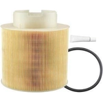 Order Air Filter by BALDWIN - PA10110 For Your Vehicle
