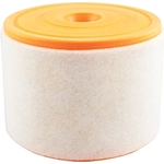Order Air Filter by BALDWIN - PA10117 For Your Vehicle