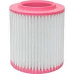 Order Air Filter by BALDWIN - PA10119 For Your Vehicle