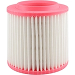 Order Air Filter by BALDWIN - PA10126 For Your Vehicle