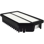 Order Air Filter by BALDWIN - PA10251 For Your Vehicle