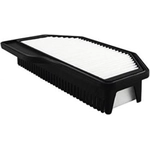 Order Air Filter by BALDWIN - PA10254 For Your Vehicle