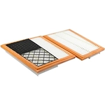 Order Air Filter by BALDWIN - PA10295 For Your Vehicle