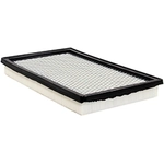 Order Air Filter by BALDWIN - PA10296 For Your Vehicle