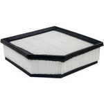 Order Air Filter by BALDWIN - PA10301 For Your Vehicle