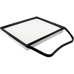 Order Air Filter by BALDWIN - PA10309 For Your Vehicle