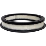 Order Air Filter by BALDWIN - PA10355 For Your Vehicle
