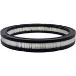Order Air Filter by BALDWIN - PA10356 For Your Vehicle
