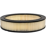 Order Air Filter by BALDWIN - PA10357 For Your Vehicle