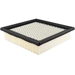 Order Air Filter by BALDWIN - PA10389 For Your Vehicle
