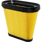Order Air Filter by BALDWIN - PA10405 For Your Vehicle