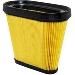 Order Air Filter by BALDWIN - PA10405 For Your Vehicle