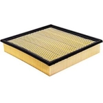 Order Air Filter by BALDWIN - PA10427 For Your Vehicle